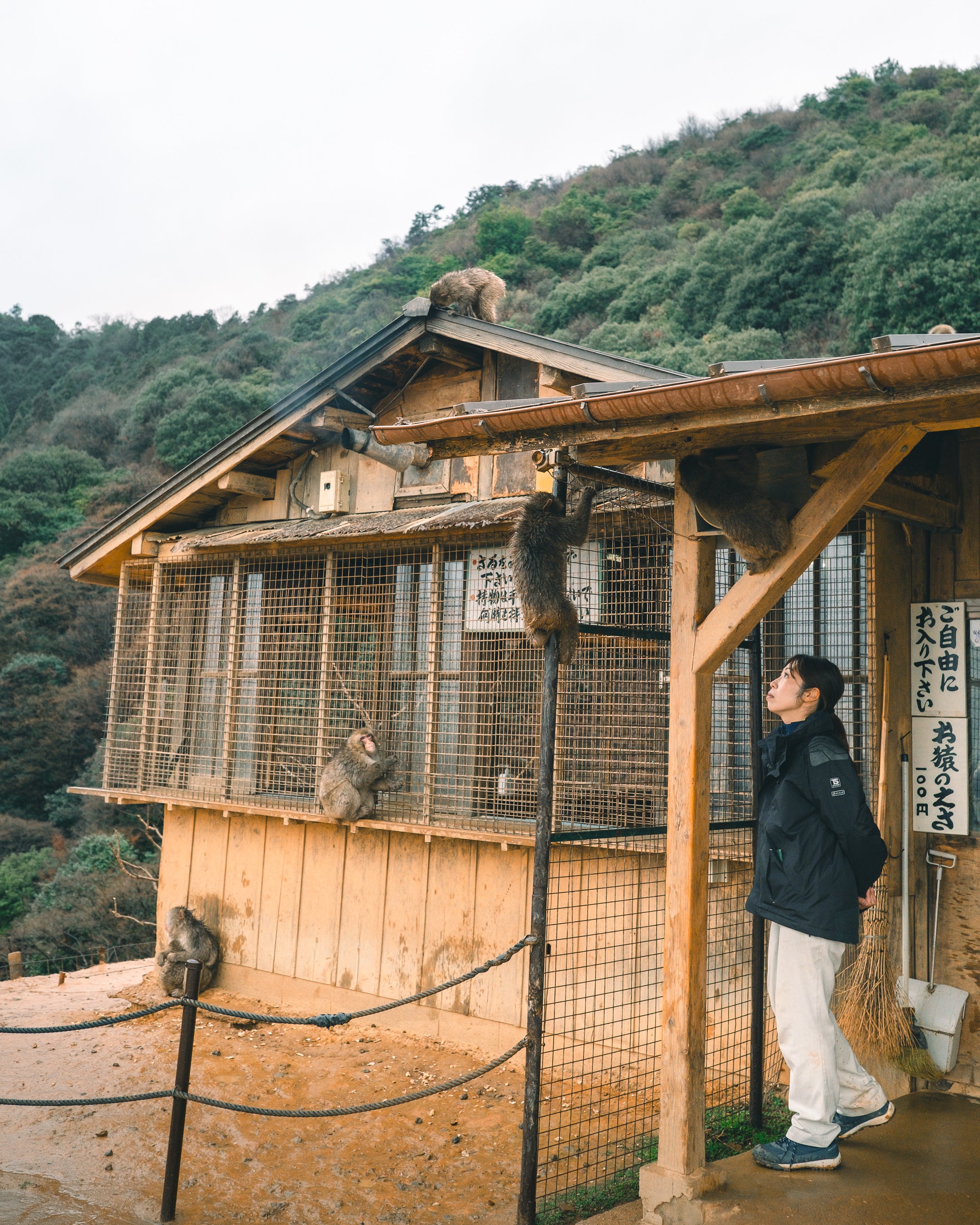 Monkey Park