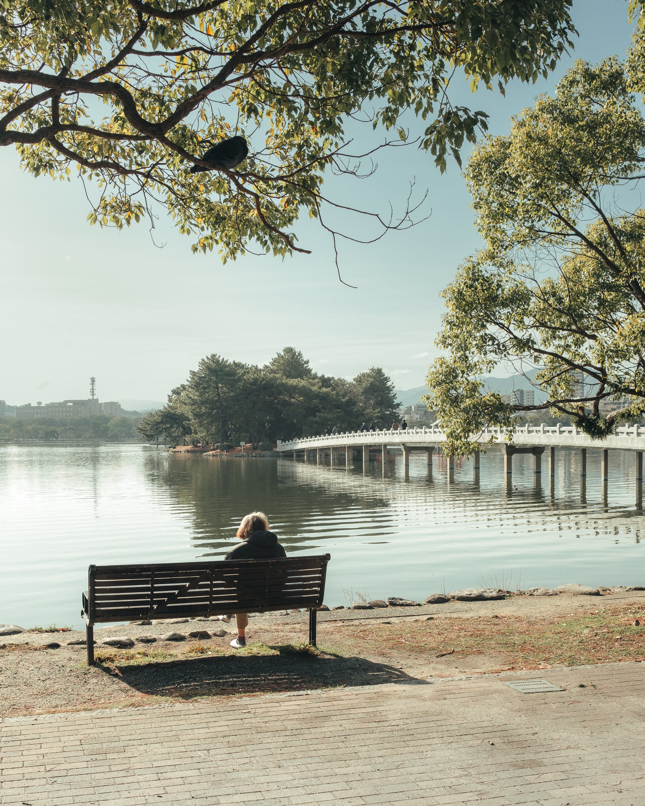 Serene Bench