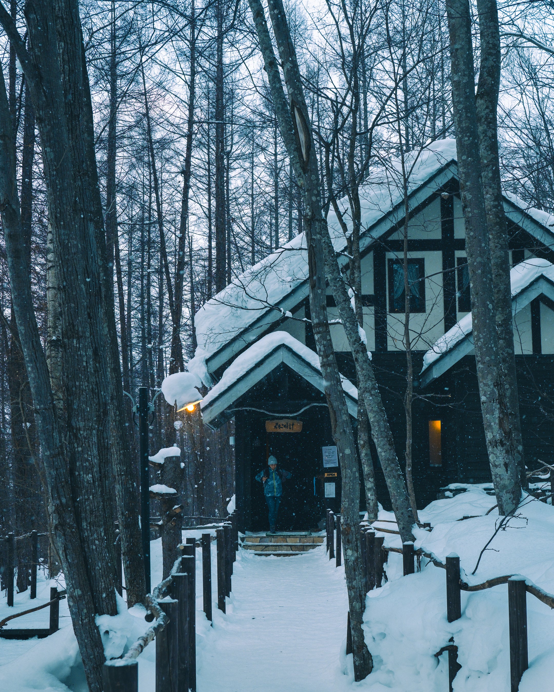 Shelter