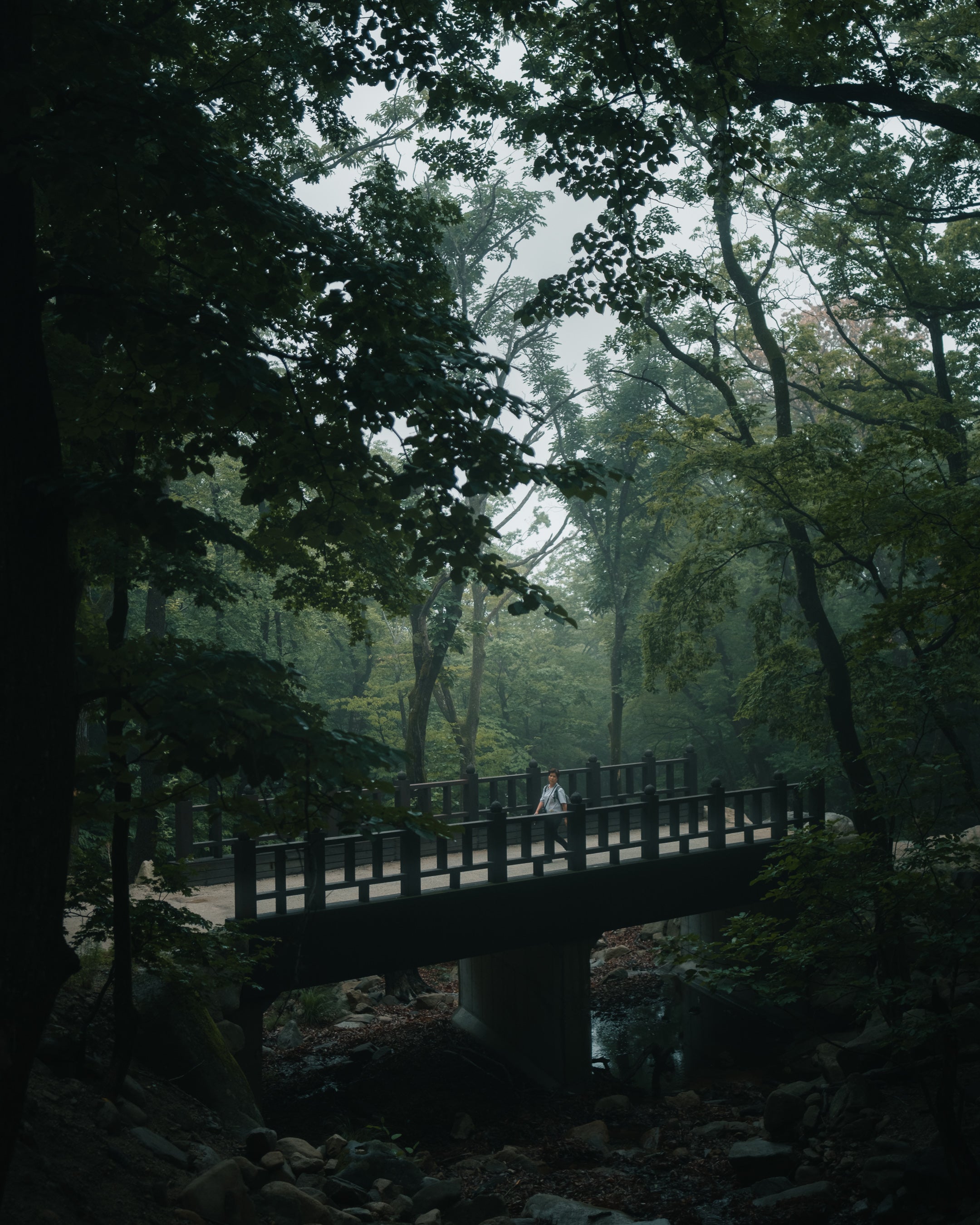 Bridge